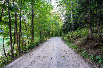 Fototapeta premium A beautiful forest road, path next to the peaceful lakeshore and forest.