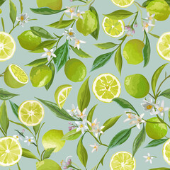 Lime Seamless Pattern. Citrus Fruit Vector Illustration Background. Floral Vintage Romantic Garden Print, Texture