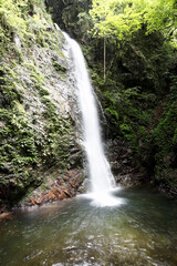 Fototapeta premium 払沢の滝