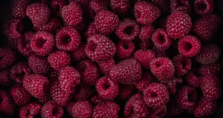 Close up of bio raspberries. Macro photography.