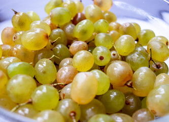 Delicious yellow sweet grapes lie in a glass plate. Autumn harvest. Berry for dessert.