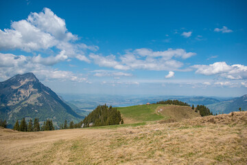 Fototapeta premium Beautiful swiss alps mountains. Alpine meadows.
