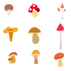 Set of vector icons of autumn poisonous and edible mushrooms. Isolates on a white background.