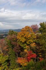日本の秋の風景