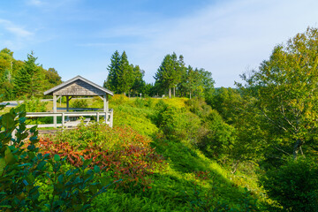 Coastal landscape in Fundy Trail Parkway