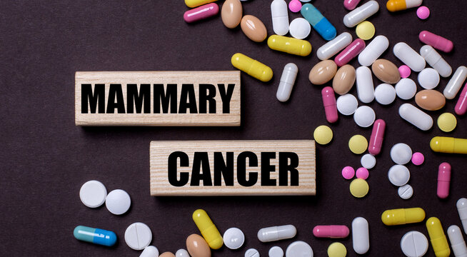 MAMMARY CANCER is written on wooden blocks near multi-colored pills. Medical concept