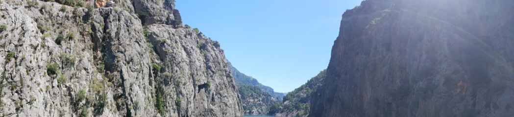 Naklejka premium park