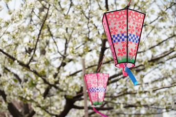 red and white lanterns hanging on tree