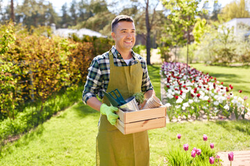 gardening and people concept - happy smiling middle-aged man in apron with tools in box at summer garden