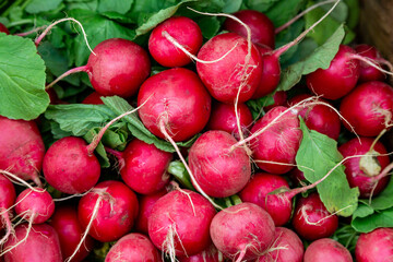 A Display of Radishes For Sale