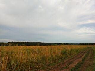 field and sky