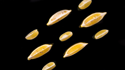 Lime lemon orange slices on a black background close up
