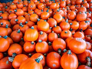 カボチャ・ハロウィン