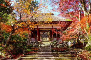 紅葉に染まった京都・嵯峨野の常寂光寺（仁王門）