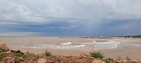 landscape of the river