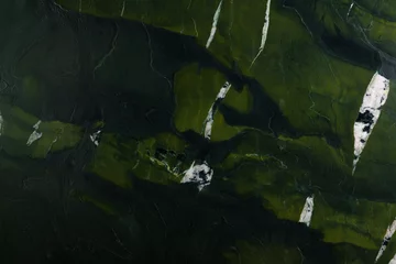 Fotobehang Avocatus - natuurlijke gepolijste kwartsietsteen in groene kleur, foto van plaattextuur voor perfect interieur, achtergrond of ander ontwerpproject. © Dmytro Synelnychenko