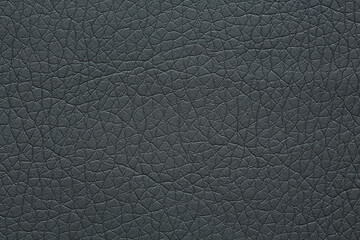 Dermatin texture in unique grey tone.
