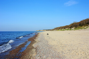 Fototapeta na wymiar Sandy coast of the blue sea