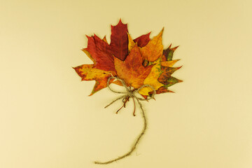 Autumn bouquet of dry maple leaves on beige background