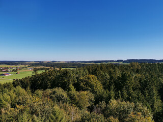 Fototapeta na wymiar Panorama mit Bäumen und blauem Himmel