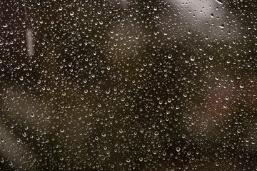 Obraz premium rain drops on the window surface 