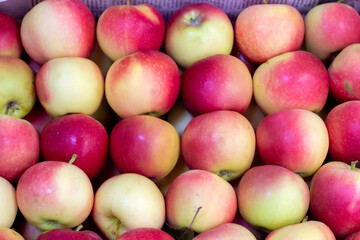 Closeup shot of fresh red and yellow apples