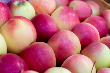 Closeup shot of fresh red and yellow apples