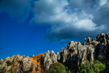 Formas de piedra puntiagudas y árboles en primer plano