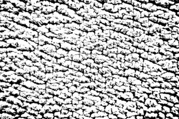 Grain texture mottled abstract vector black and white monochrome material background fabric Curly wool quilt