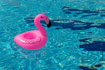 Summer fun isolated. Pink inflatable flamingo in pool water for summer beach background. Funny bird...