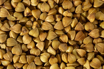 Buckwheat macro on a white background, texture