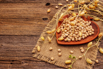 Dry chickpea in ceramic bowl and it's own branches