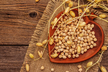 Dry chickpea in ceramic bowl and it's own branches