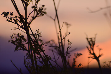 Obraz premium sunset in the mountains