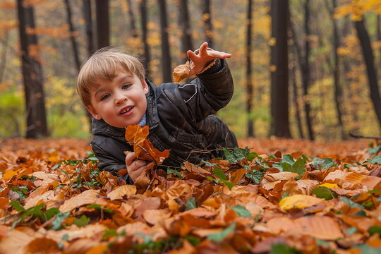 Happy kid lying on a carpet of fallen leaves in an autumn park, close-up