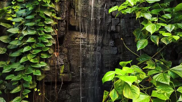 Small waterfall in damp rain forest, 4K stock footage