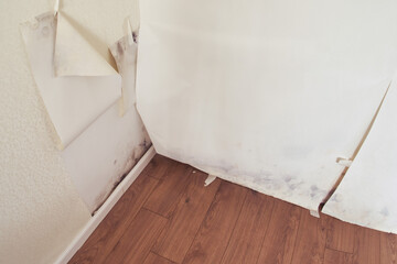 Mold on the wallpaper in the corner of the new room