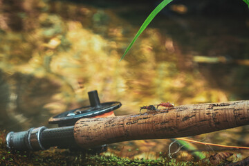 Naklejka premium Nymph. Fly fishing fly.