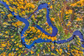 Winding river with island in autumn forest aerial top view