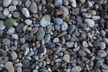 Stones on the beach Danube river Bratislava, Decorative stone wallpaper with nature texture