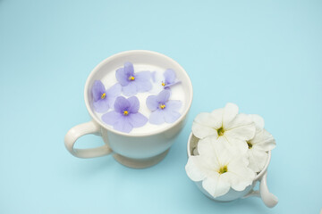 Obraz na płótnie Canvas Violets and white flowers in milk water in a cup. Beauty and wellness treatments with flower petals in a milk bath, skin care. Summer concept of freshness, purity, tenderness, youth.