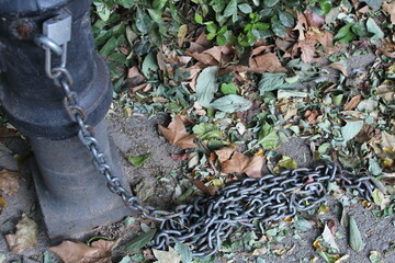 Otoño y Cadenas.