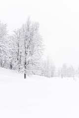 Fototapeta na wymiar Brunico under a heavy snowfall. Scent of snow. Italy