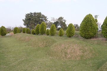 Burial mound of  korean traditional grave.