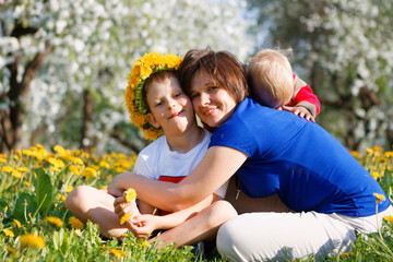 Fototapeta premium family in apple orchard in bloom and dandelion field