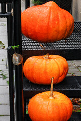 Stockholm, Sweden Halloween pumpkins on a stoop