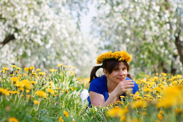 Fototapeta premium woman in apple orchard in blossom and dandelion field