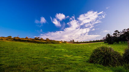 Amazing cloudscape over the lawn at Minnamurra Point
