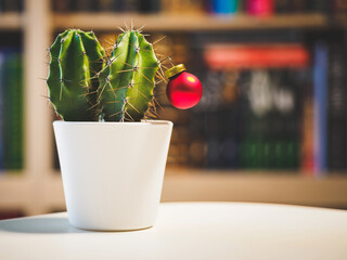 Christmas red ornament near  green small cactus with library on a background. non typical christmas concept