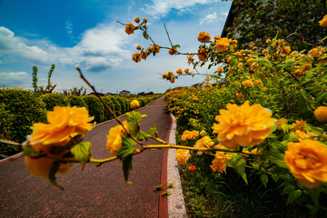 自然空間の芸術アート